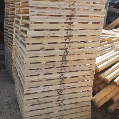 تیمی مجرب و متخصص